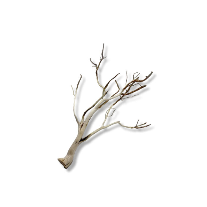 TINY WOOD