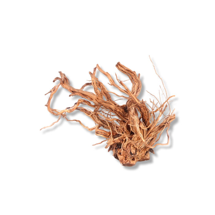 TWIST ROOT